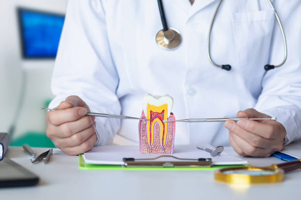 Best Emergency Wisdom Teeth Removal in Kenosha, WI